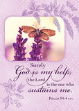 Tenderness - card box set with scripture